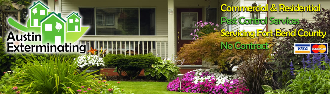 residential and commercial bug exterminators ft bend